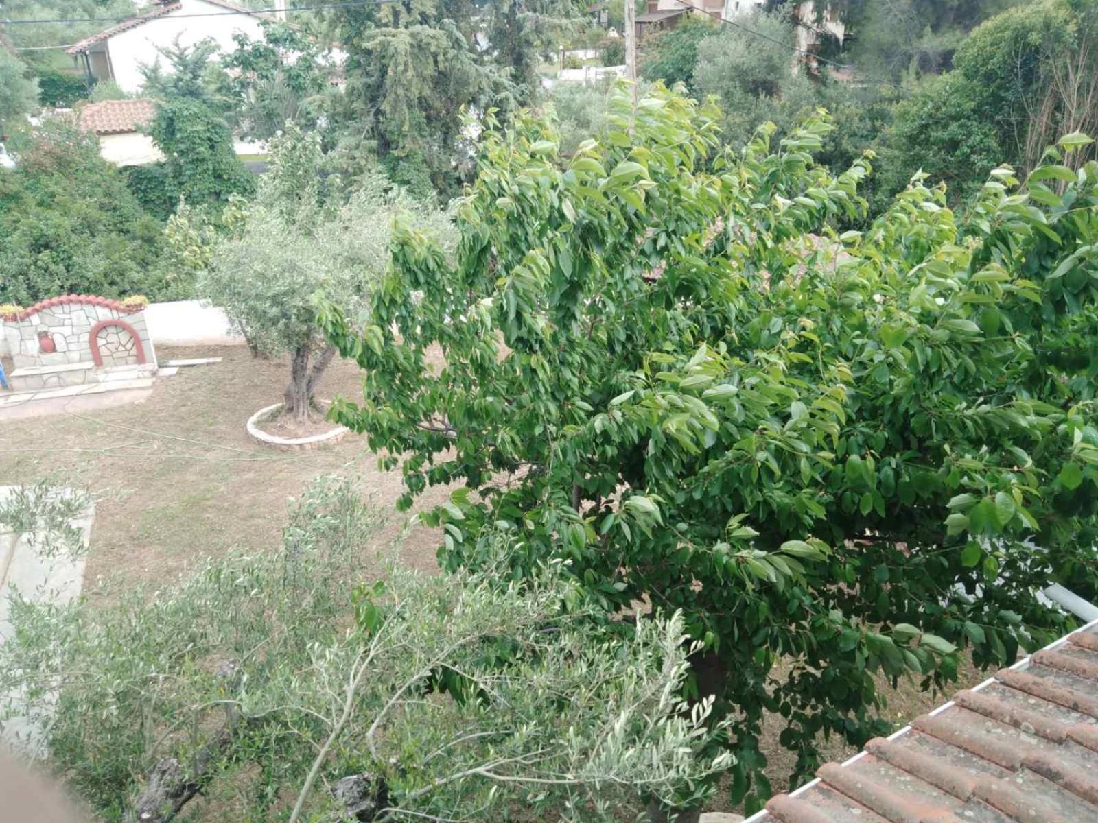 Filio * Nikiti (Sithonia)